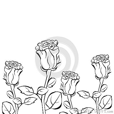 Floral flower rose spring summer background botanical Vector Illustration