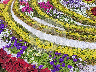 Beautiful ornament flowerbeds. Stock Photo