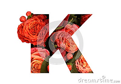 Floral font letter K from a real red-orange roses for bright design. Stock Photo