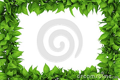 Floral frame Stock Photo