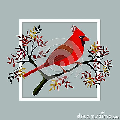 Cardinal bird on a branch Vector Illustration