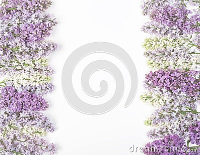 Floral frame made of spring lilac flowers isolated on white background. Top view with copy space. Stock Photo