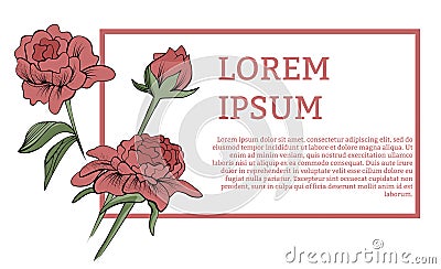 Floral frame with peony. Vector Illustration