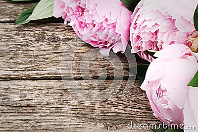 Floral frame with pink peonies Stock Photo