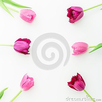 Floral frame with pink tulip flowers on white background. Flat lay. Top view. Valentines Day background. Stock Photo