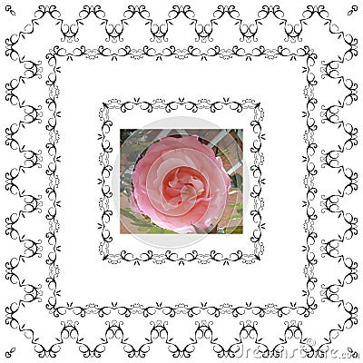 Floral frame retro lovely rose in decorative frame vintage style Stock Photo