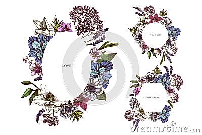 Floral frames with colored anemone, lavender, rosemary everlasting, phalaenopsis, lily, iris Vector Illustration