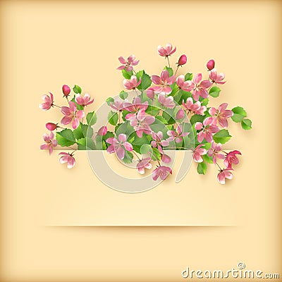Floral greeting card pink cherry blossom flowers Vector Illustration