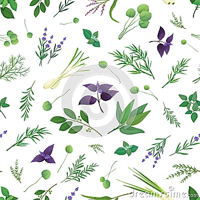 Floral herb pattern. Delicate botanical herbals, elegant blossom decoration and gentle nature plants. Decor kitchen Vector Illustration