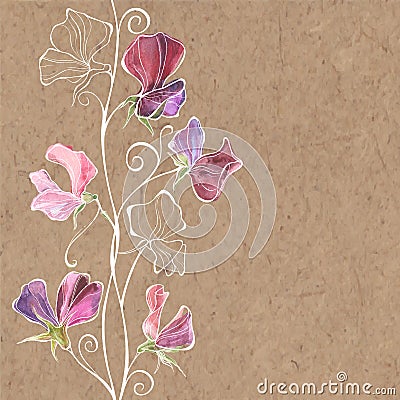 Floral illustration with flowers sweet pea and place for text on Cartoon Illustration