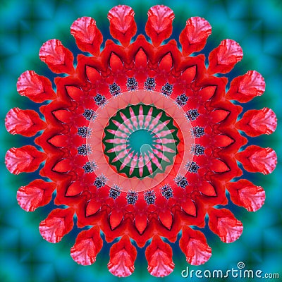 Floral kaleidoscopic pattern. Flower geometric ornament . Mandala . Abstract background Stock Photo