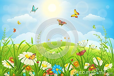 Floral meadow Vector Illustration