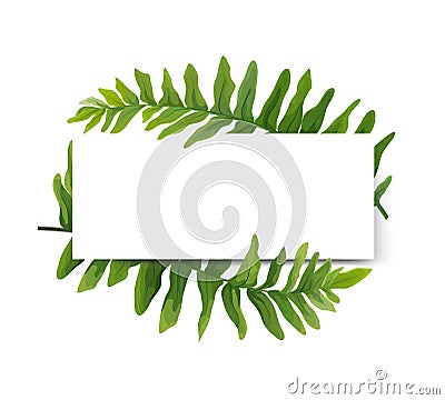 Floral modern vector card design: green Polypodiophyta fern frond leaves elegant greenery, forest wreath frame border print. Vector Illustration