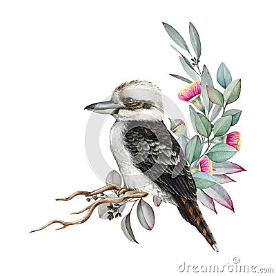 Floral natural decor with eucalyptus and kookaburra bird. Watercolor illustration. Natural floral decor with eucalyptus Cartoon Illustration