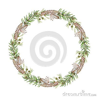 Floral natural winter rustic wreath. Hand drawn elegant round frame. Countryside style wreath of pine, fern, evergreen Stock Photo