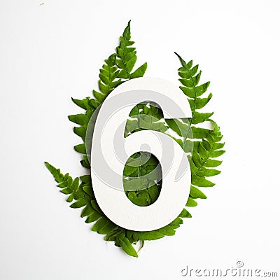 Floral number six. Beautiful green leaves and fern foliage numbers. Stock Photo