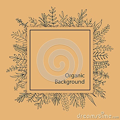 Floral outlined branches twigs black and beige organic square frame Vector Illustration