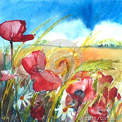 Floral painted landscape watercolour poppy painting illustration with blue sky and corn background Ink and watercolor painting. Cartoon Illustration