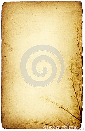 Floral paper Stock Photo