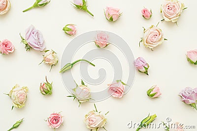 Floral pattern assorted roses ivory background Stock Photo