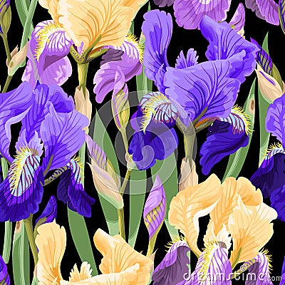 Floral pattern with iris flowers Vector Illustration