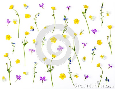 Floral pattern made of meadow flowers isolated on white background. Flat lay. Stock Photo