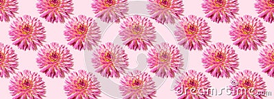 Floral pattern made of pink flowers over pastel pink background. Festive spring and summer background. Flat lay, top view. Pattern Stock Photo