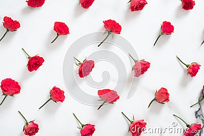 Floral pattern made of red roses flowers on white marble background. Flat lay style floral composition, top view mockup. Stock Photo
