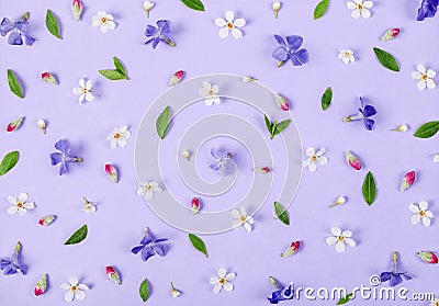 Floral pattern made of spring white and violet flowers, green leaves and pink buds on pastel lilac background. Flat lay Stock Photo