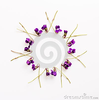 Floral pattern from a small fragrant forest flowers violets with space for text on a white background Stock Photo