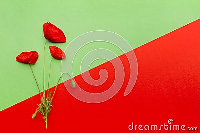 Floral red green card Stock Photo