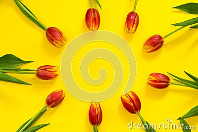 Floral red tulip frame on bright yellow background with copy space in center. Hello spring. Concept of greeting card. celebrating Stock Photo