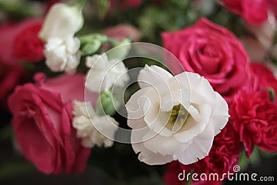 Floral rose and carnation bouquet 1696 Stock Photo