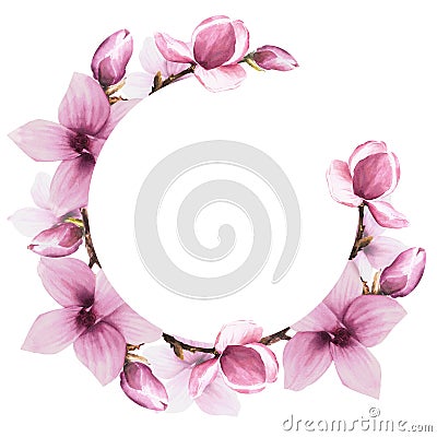 Floral round frame watercolor pink magnolias flowers, buds and leaves. Hand painted Illustration Cartoon Illustration