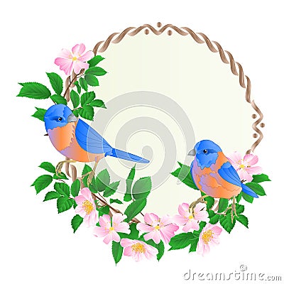 Floral round frame with wild Roses and cute small singings birds bluebirds vintage festive background vector illustration edit Vector Illustration