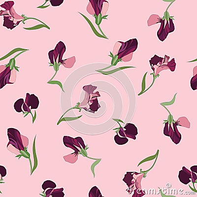 Floral seamless background from lilac flowers Vector Illustration