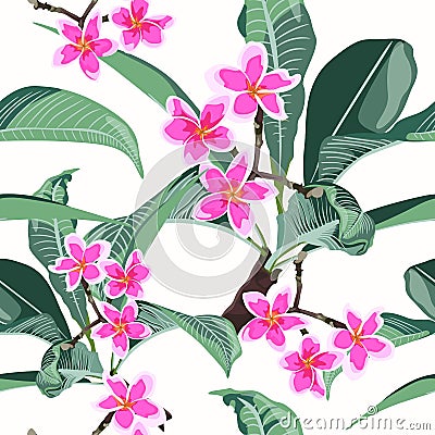 Floral seamless exotic pattern. Tropical pink plumeria branch with leaves on white background. Vector Illustration