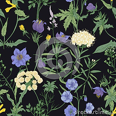 Floral seamless pattern with blooming wild flowers and meadow flowering plants on black background. Romantic floral Vector Illustration