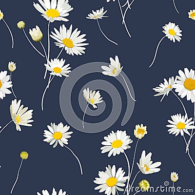 Floral Seamless Pattern with Chamomile Flowers. Natural Background with Daisy Flowers for Spring Summer Design Wallpaper Vector Illustration