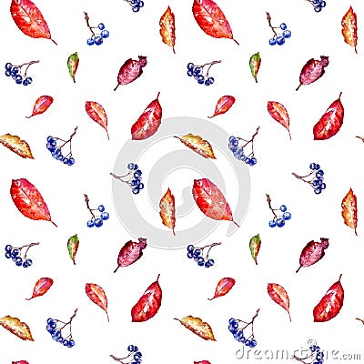 Floral seamless pattern of a chokeberry and autumn leaves . Cartoon Illustration