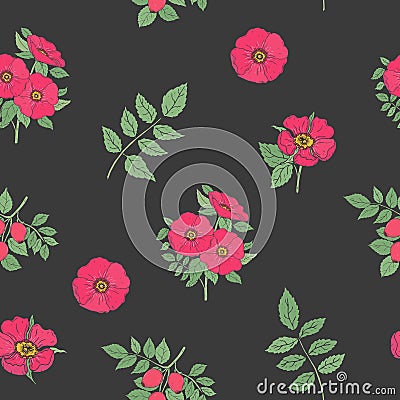 Floral seamless pattern with elegant dog rose flowers, stems and leaves hand drawn in retro style on black background Vector Illustration