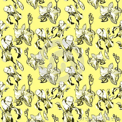 Floral seamless pattern with hand drawn ink iris and orchid flowers on yellow background. Flowers lined up in harmonious Stock Photo