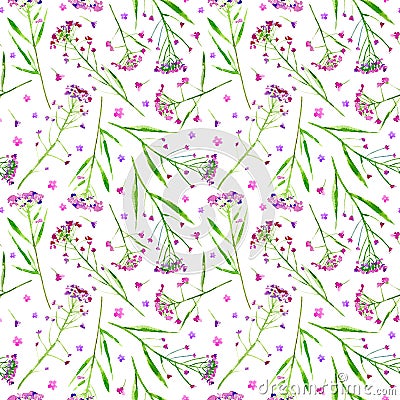 Floral seamless pattern of a meadow herbs and flowers. Cartoon Illustration