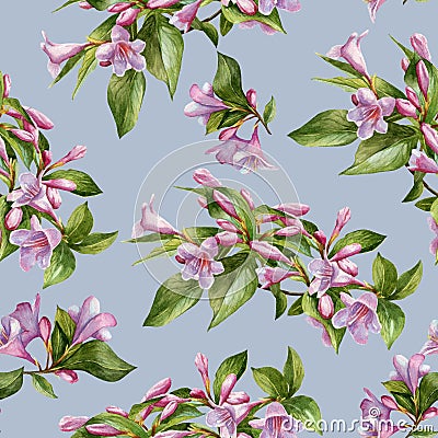 Floral seamless pattern with pink weigela Stock Photo