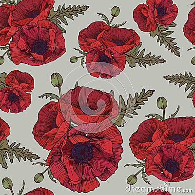 Floral seamless pattern with red poppies Vector Illustration