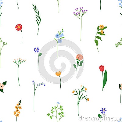 Floral seamless pattern, repeating background. Endless texture, field flowers, summer blooms, branches, tiny wildflowers Vector Illustration