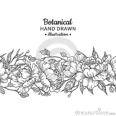 Floral seamless vintage border. Vector peony and roses botanical Vector Illustration