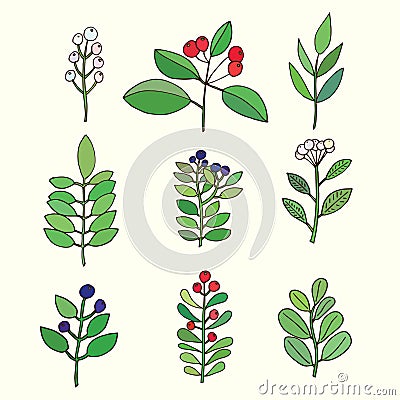 Floral set. Colorful floral collection with leaves and flowers. Vector Illustration