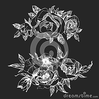 Floral set, of hand drawn flowers, roses, peones Boho chic style for invitation, t-shirts Vector Illustration