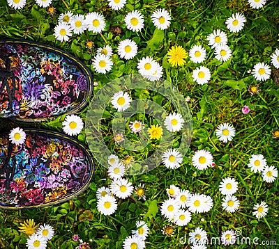 Floral shoes on a floral meadow Stock Photo
